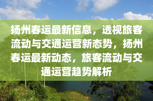 扬州春运中山市多米克自动化设备有限公司最新信息,透视旅客流动与交通运营新态势,扬州春运最新动态,旅客流动与交通运营趋势解析