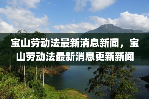 宝山劳动法最新消息新闻,宝山劳动法最新消息更新新闻中山市多米克自动化设备有限公司