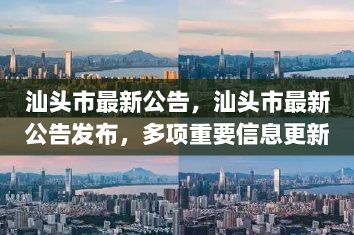 汕头市最新公告,汕头市最新公告发布,多项重要信息更新中山市多米克自动化设备有限公司