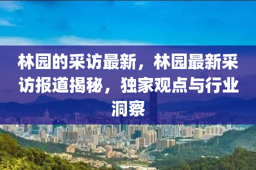 林园的中山市多米克自动化设备有限公司采访最新,林园最新采访报道揭秘,独家观点与行业洞察