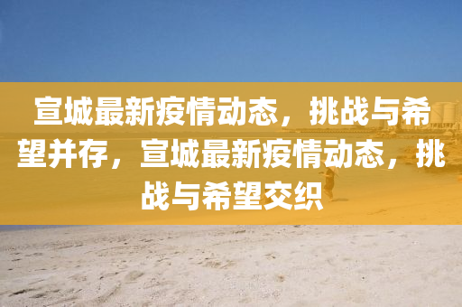 宣城最新疫情动态,挑战与希望并存,宣城最新疫情动态,挑战与希望交织中山市多米克自动化设备有限公司