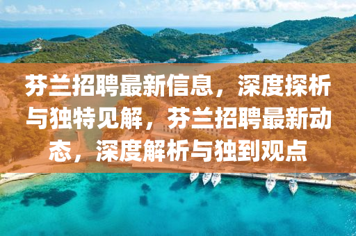 芬兰招聘最新信息,深度探析与独特见解,芬兰招聘最新动态,深度解析与独到观点中山市多米克自动化设备有限公司