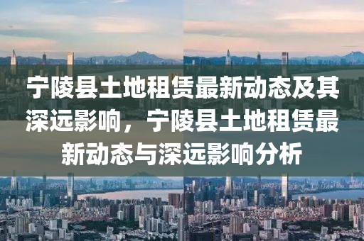 宁陵县土地租赁最新动态及其深远影响,宁陵县土地租赁最新动态与深远影响分析中山市多米克自动化设备有限公司