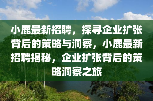 小鹿最新招聘,探寻企业扩张背后的策略与洞察,小鹿最新招聘揭秘,企业扩张背后的策略洞察之旅中山市多米克自动化设备有限公司