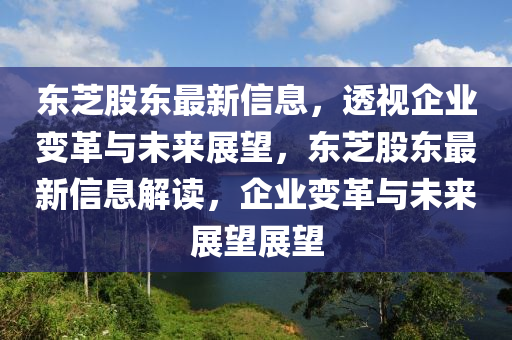 东芝股东最新信息,透视企业变革与未来展望,东芝股东最新信息解读,企业变革与未来展望展望中山市多米克自动化设备有限公司