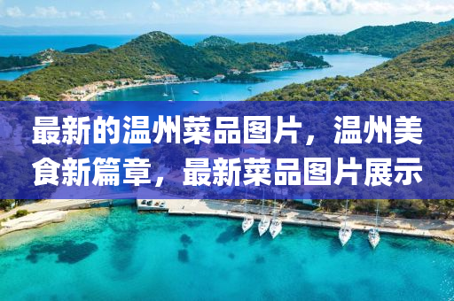 最新的温州菜品图片,温州美食新篇章,最新菜品图片展示中山市多米克自动化设备有限公司