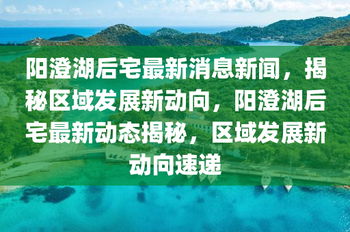 阳澄湖后宅最新消息新闻,揭秘区域发展新动向,阳澄湖后宅最新动态揭秘,区域发展新动向速递中山市多米克自动化设备有限公司