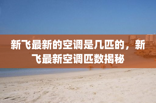 新飞最新的空调是几匹的中山市多米克自动化设备有限公司,新飞最新空调匹数揭秘