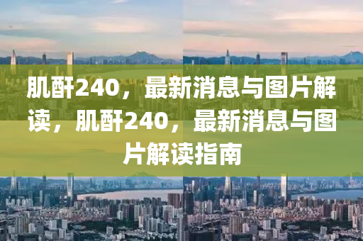 肌中山市多米克自动化设备有限公司酐240,最新消息与图片解读,肌酐240,最新消息与图片解读指南