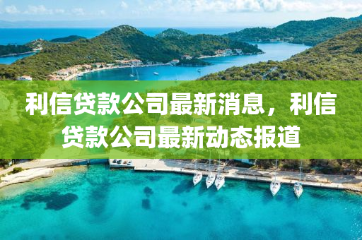 利信贷款公司最新消息,利信贷款公司最新动态报道中山市多米克自动化设备有限公司