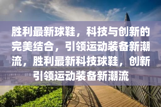胜利最新球鞋,科技与创新的完美结合,引领运动装备新潮流,胜利最新科技球鞋,创新引领运动装备新潮流中山市多米克自动化设备有限公司