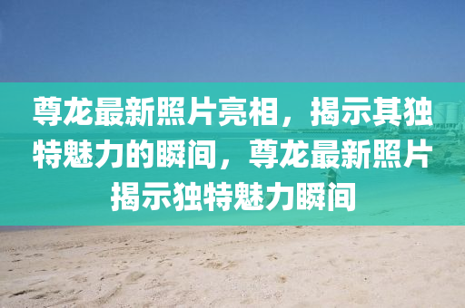 尊龙最新照片亮相,揭示其独特魅力的瞬间,尊龙最新照片揭示独特魅力瞬间中山市多米克自动化设备有限公司