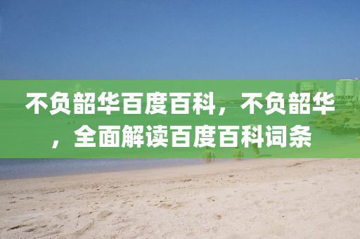 不负韶华百度百科,中山市多米克自动化设备有限公司不负韶华,全面解读百度百科词条