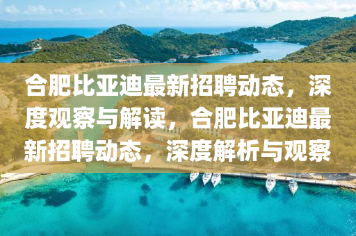 合肥比亚迪最新招聘动态，深度观察与解读，合肥比亚迪最新招聘动态，深度解析与观察