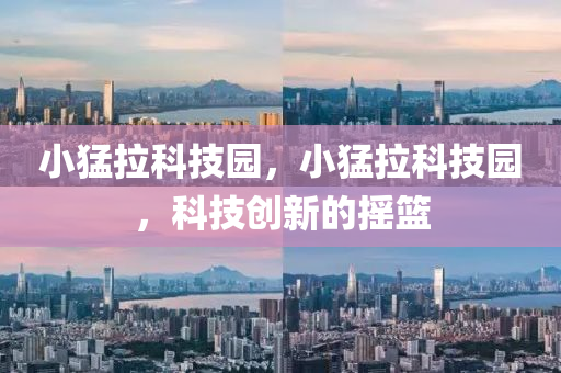 小猛拉中山市多米克自动化设备有限公司科技园,小猛拉科技园,科技创新的摇篮